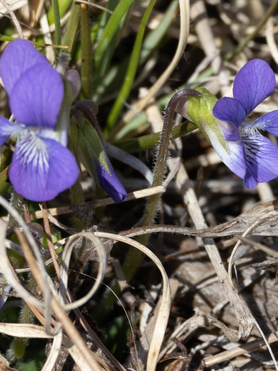 April 22, 2025 Atwood&nbsp;Reservoir