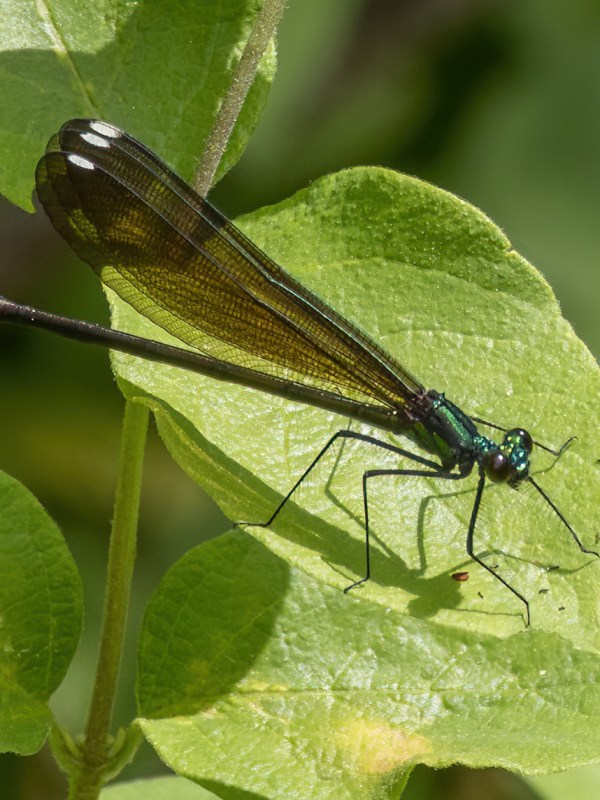 May 30, 2025 – New and old&nbsp;locations