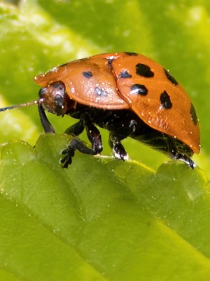 June 4, 2025  – Middleboro,&nbsp;MA