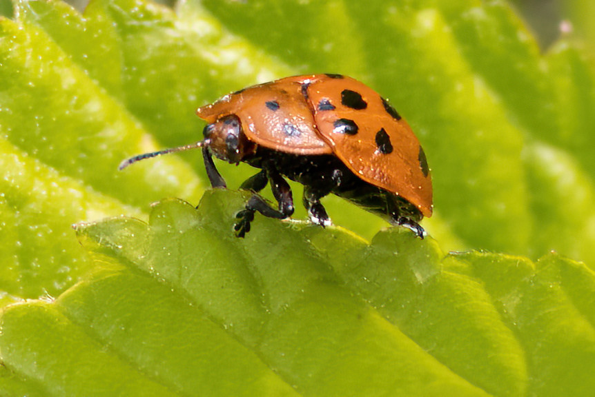 June 4, 2025  – Middleboro,&nbsp;MA