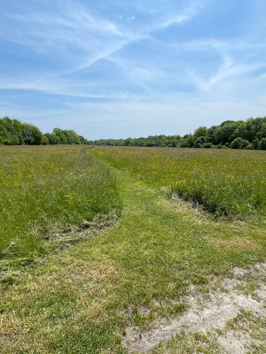 May 5, 2025 – Fairhaven and Marion,&nbsp;MA