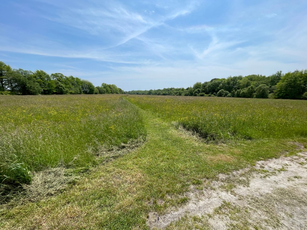 May 5, 2025 – Fairhaven and Marion,&nbsp;MA