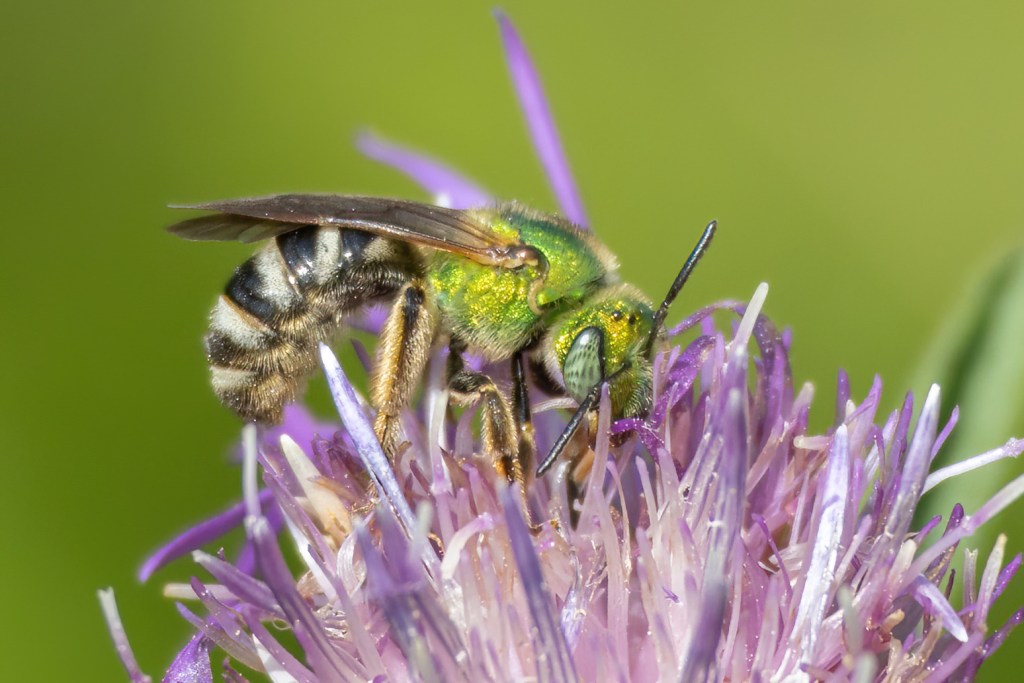 July 12, 2025 – A tale of Two&nbsp;Fields