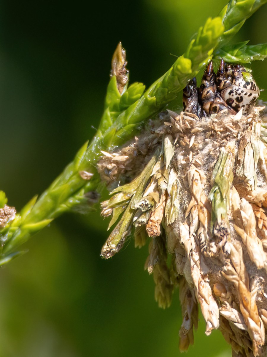 August 2, 2025&nbsp;Adventures