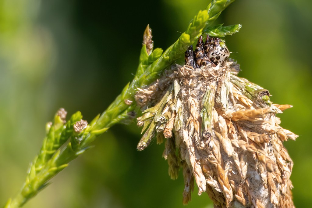 August 2, 2025&nbsp;Adventures